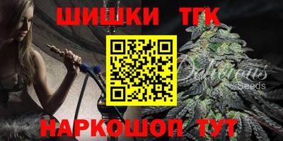 СК Бердск
